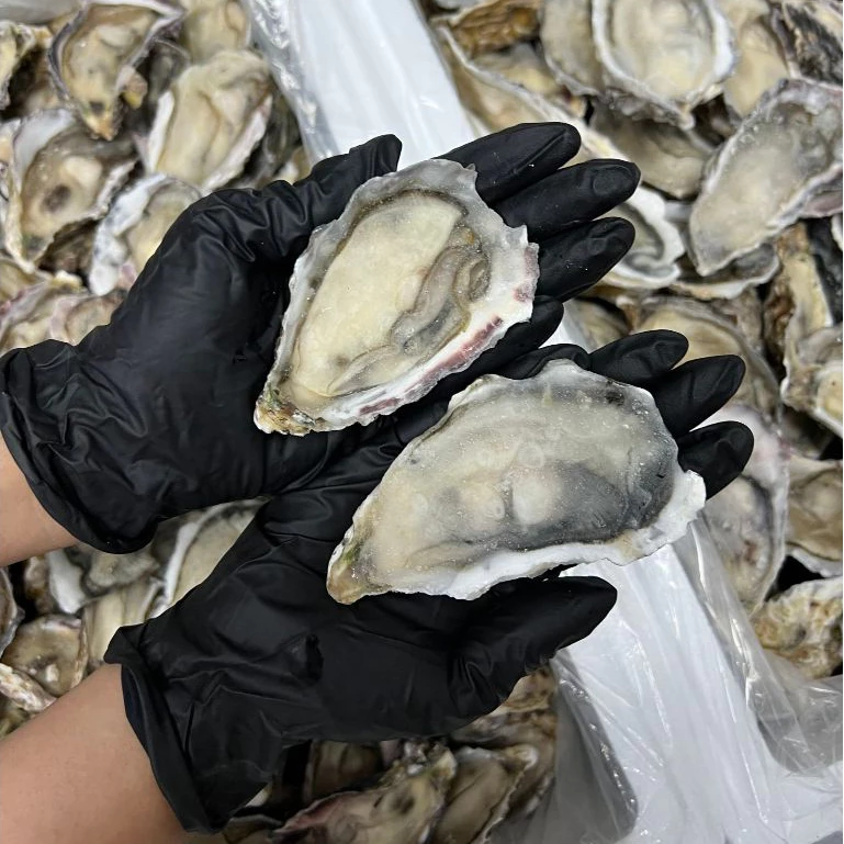 Korean Oyster Frozen หอยนางรมเกาหลีแช่แข็ง