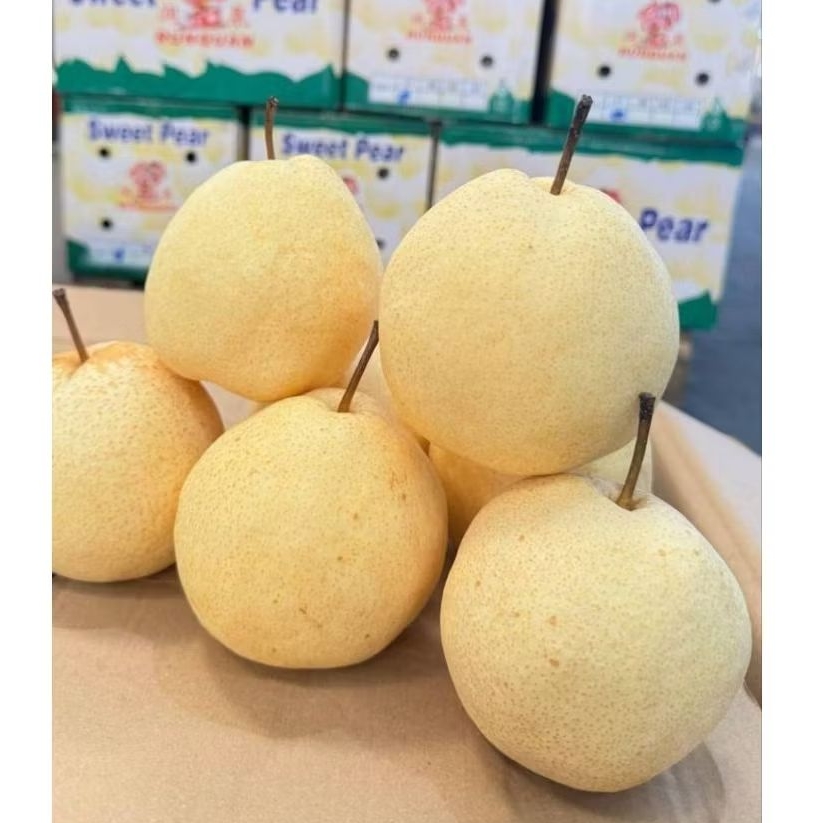 สาลี่ น้ำผึ้งหวาน กรอบ อร่อย แพ๊ค 3 ลูก