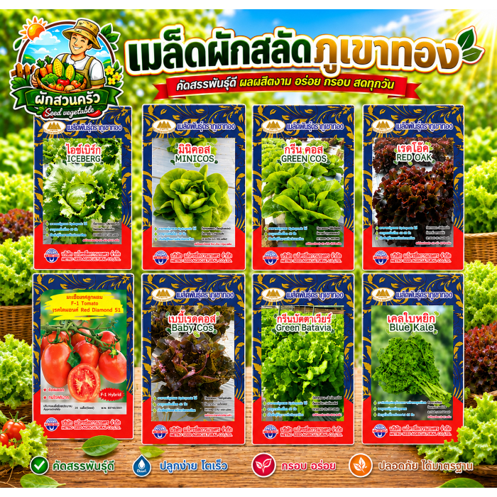 เมล็ดพันธุ์ ผักสลัด ตราภูเขาทอง (มากกว่า25ชนิด) เรดโอ๊ค กรีนโอ๊ค ผักเคล เคลใบหยิก บีทรูท มินิคอส ผัก