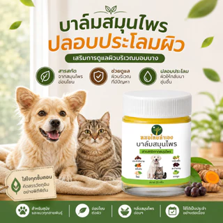 หมอไทยทำเอง บาล์มสมุนไพรดูแลผิวหนังสัตว์เลี้ยง ปลอบประโลมผิวที่มีปัญหา สำหรับสุนัข แมว 20-50 กรัม