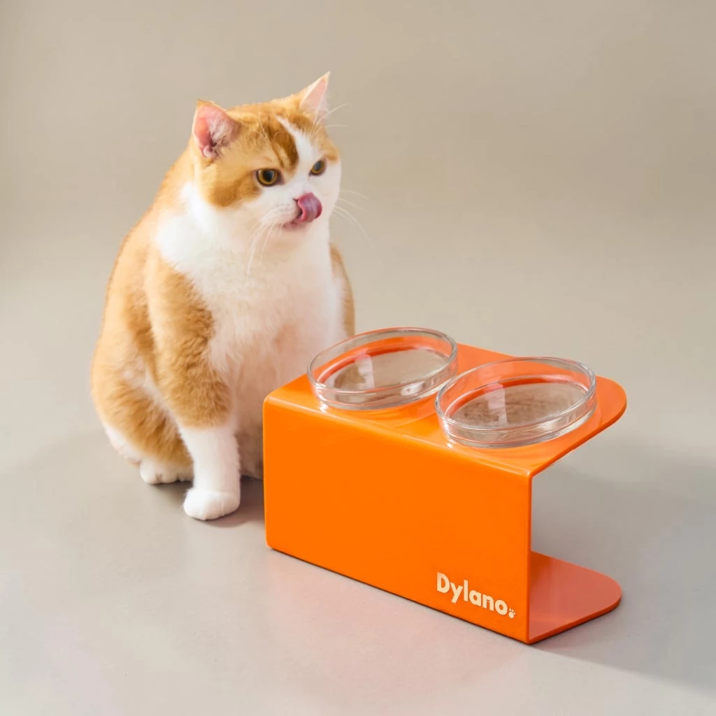 ชามอาหารสัตว์เลี้ยงยกสูงปรับองศา Dylano Elevated Pet Bowl (Size S แบบคู่) with Acrylic Stand