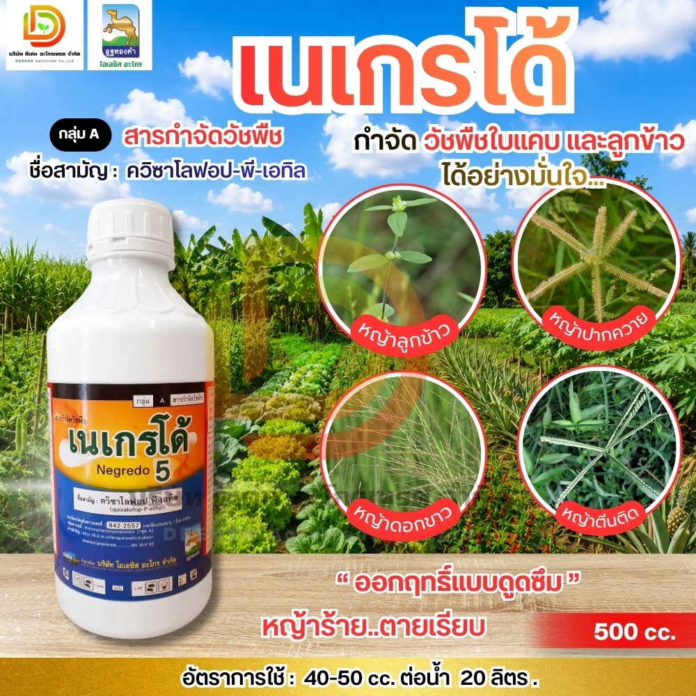 เนเกรโด้ #ควิซาโลฟอป -พี-เอทิล กำจัดวัชพืชใบแคบ ลูกข้าว ปลอดภัยต่อพืชใบกว้าง #ดีเด่นอะโกรเทรด