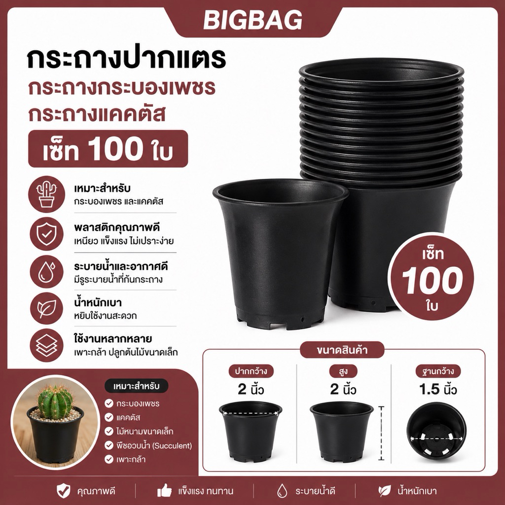 กระถาง ทรงปากแตร กระถางกระบองเพชร กระถางแคคตัส ขนาด 2 นิ้ว เซ็ท 100 ใบ