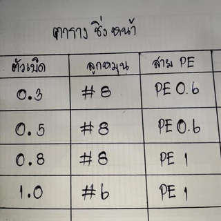 ตะกร้อวิ่งตัวเบ็ดบน-ล่าง+ตะกั่วมะเฟือง20กรัม พร้อมตก มีให้เลือกหลายขนาด