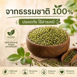 ถั่วเขียว Green Mung Beans ชนิดคัดพิเศษ เมล็ดใหม่ สดใหม่ | ต้มง่าย เปื่อยนุ่ม | ธรรมชาติ 100% ไม่ใช้สารเคมี