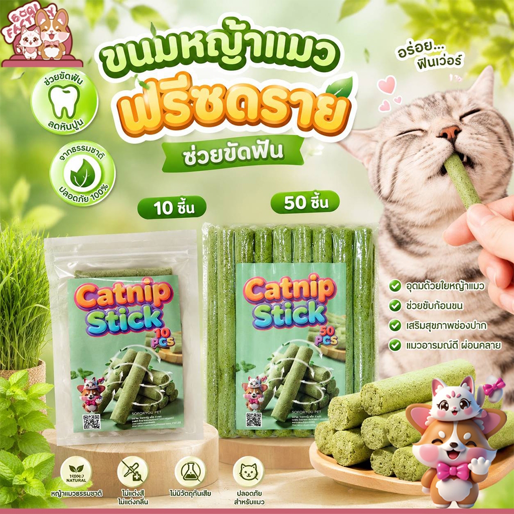 Boqi Factory  ขนมหญ้าแมว ผลิตจากต้นอ่อนข้าวสาลี ช่วยขัดฟัน 1 ถุง บรรจุ 10 ชิ้น Catnip Sticks 10pcs