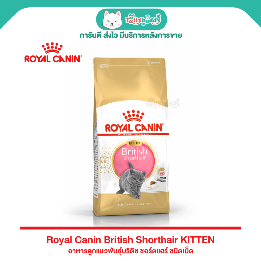 พร้อมส่งทันที ! Royal Canin British Shorthair Kitten อาหารลูกแมวพันธุ์บริติช ชอร์ตแฮร์ อายุ 4-12 เดือน แบบเม็ด