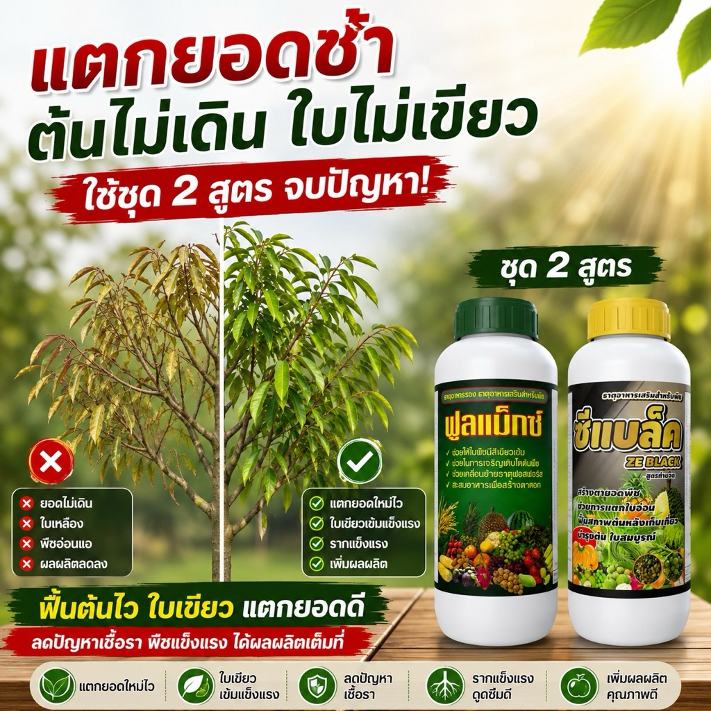 ฟูลแม็กซ์ +ซีแบลค แก้ปัญหาแตกยอดช้าต้นไม่เดินใบไม่เขียวเพิ่มความสมบูรณ์ของต้นและผลผลิตใช้ได้กับไม้ผลพืชผักพืชไร่ ทุกชนิด