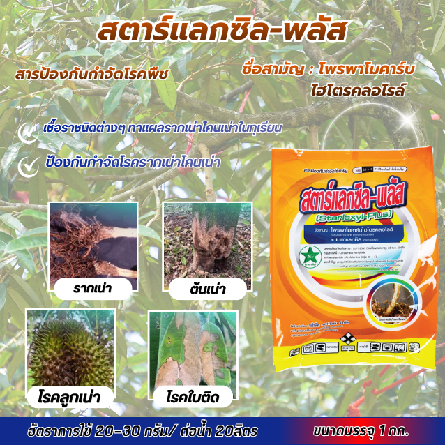 สตาร์แลกซิล-พลัส เป็นสารป้องกันและกำจัดโรคพืชที่มีประสิทธิภาพสูง