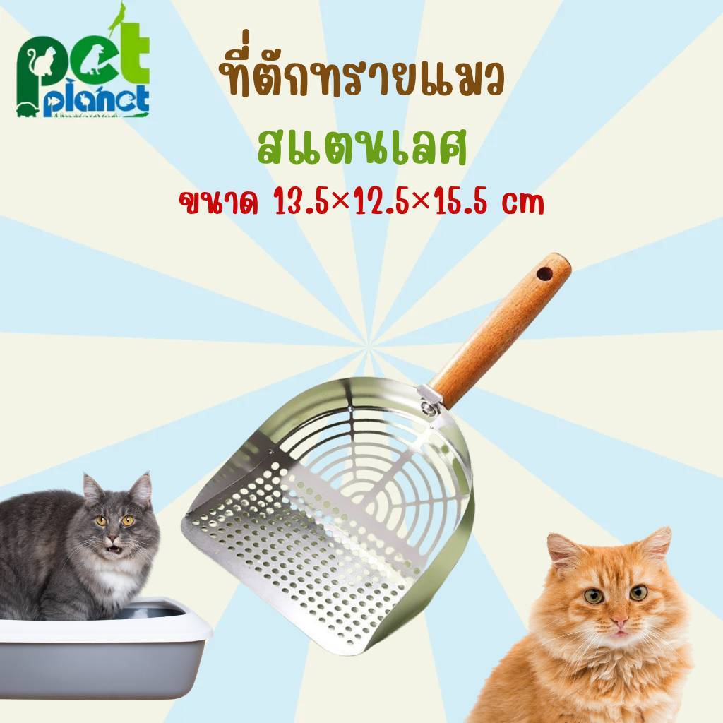 อุปกรณ์สัตว์เลี้ยง ที่ตักทรายแมวสแตนเลส ด้ามจับเป็นไม้แท้ อุปกรณ์สำหรับ ทรายแมว กระบะทรายแมว แมว