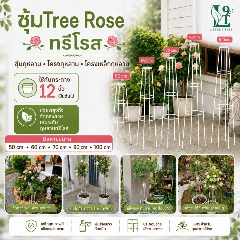 **สั่งแยกจากสินค้าอื่น ซุ้ม T-Rose ทรีโรส ซุ้มกุหลาบ ความกว้างฐานซุ้ม 20-22 cm.