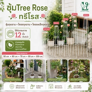 **สั่งแยกจากสินค้าอื่น ซุ้ม T-Rose ทรีโรส ซุ้มกุหลาบ ความกว้างฐานซุ้ม 20-22 cm.