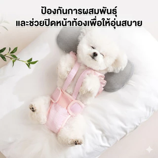 ชุดดอนามัยสุนัข สำหรับสุนัขเป็นฮีทหรือป้องกันการผสมพันธุ์