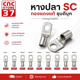 หางปลาทองแดงชุบดีบุก SC ทรงยุโรป หางปลาขอบตัด SC6-6,SC6-8,SC10-6,SC10-8,SC 16-6,SC16-10,SC25-6,SC35-8,SC50-8 (1 ชิ้น)