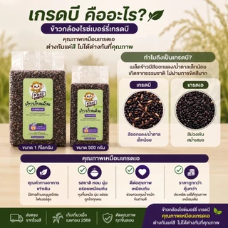 ข้าวกล้องไรซ์เบอร์รี่ เกรดบี 1กก./500กรัม | ส่งตรงจากโรงสี | คุณภาพเหมือนเกรดเอ | เก็บเกี่ยว เม.ย.69