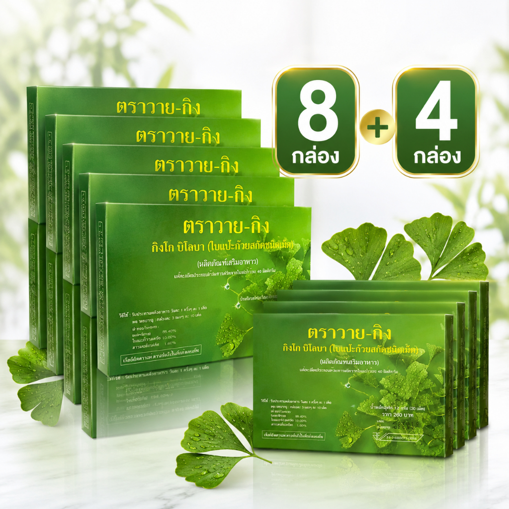 Y-Gink ราคาขายส่ง💥 ซื้อ 8 กล่อง แถมฟรี 4 กล่อง ในราคาส่ง! [รวม 12 กล่อง] สารสกัดแปะก๊วย 30 แคปซูลต่อกล่อง