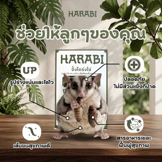 จิ้งโกร่งไข่ HARABI ตัดสวนที่แข็งออกหมดปลอดเชื้อโรคไร้พยาธิ อาหารสำหรับสัตว์เล็ก Exotic pet ขนาด 50 กรัม แมลง จิ้งโกร่ง