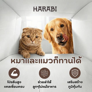 จิ้งโกร่งไข่ HARABI ตัดสวนที่แข็งออกหมดปลอดเชื้อโรคไร้พยาธิ อาหารสำหรับสัตว์เล็ก Exotic pet ขนาด 50 กรัม แมลง จิ้งโกร่ง