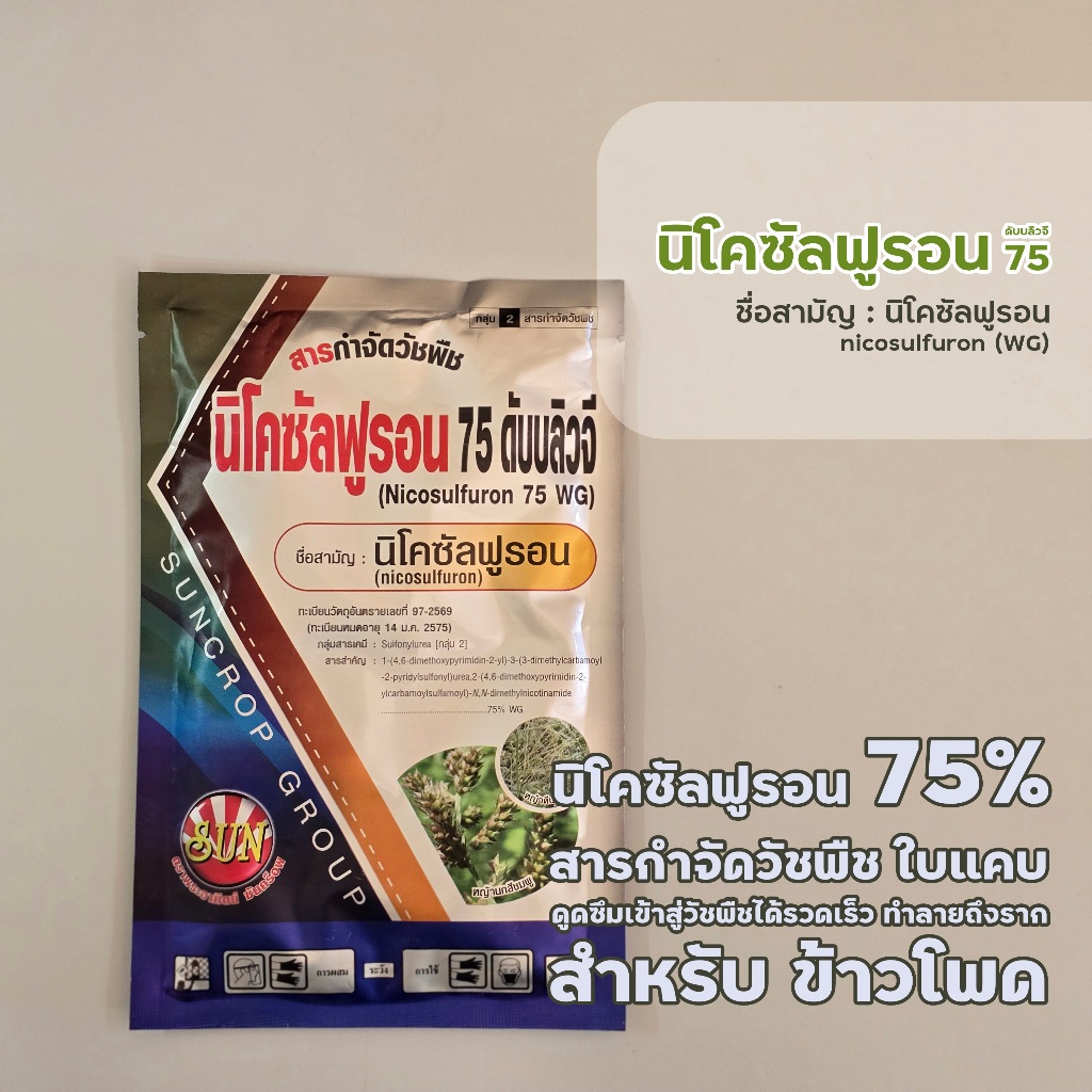 สารกำจัดวัชพืชในข้าวโพด | นิโคซัลฟูรอน 75 ดับบลิวจี(นิโคซัลฟูรอน) ตราพระอาทิตย์ | ซันคร็อพ