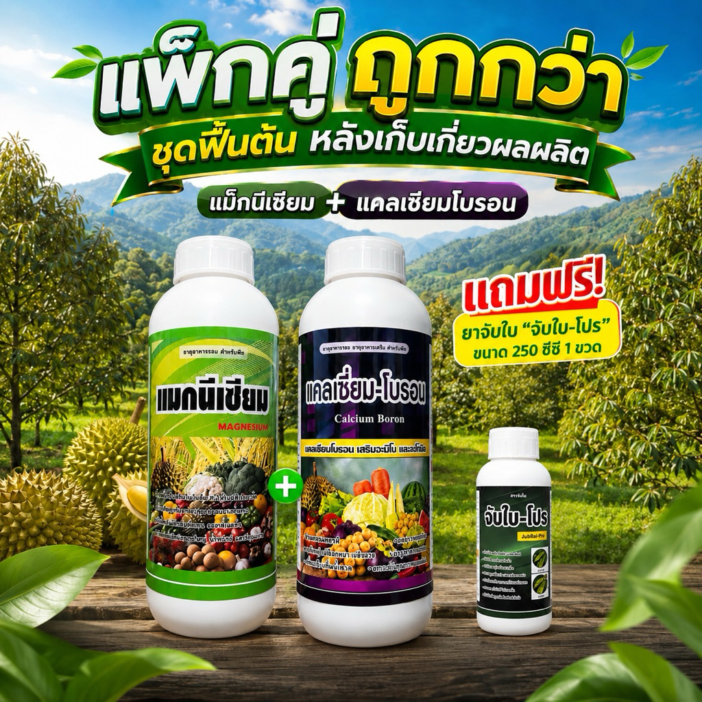 แพ็คคู่มีแถม ชุดฟื้นต้นทุเรียน หลังเก็บผลผลิต แมกนีเซียม+แคลเซียมโบรอน 1 ลิตร เร่งสะสมอาหาร แถมฟรี จับใบ-โปร