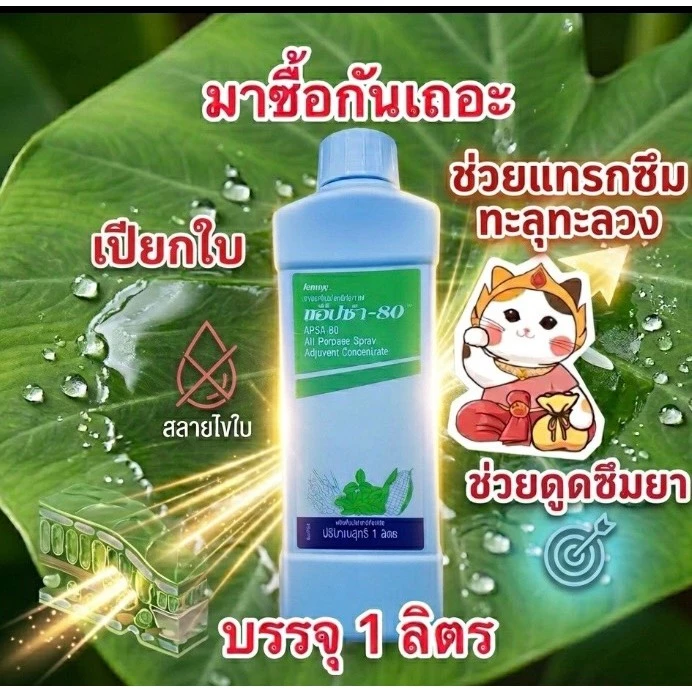 แอ็ปซ่า แอปซ่า 80 จับใบ ปรับสภาพน้ำ สารจับใบ ยาจับใบ บรรจุ1ลิตร/ขวด
