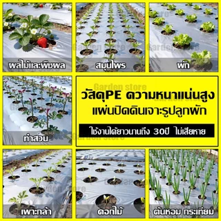 🌱พลาสติกคลุมดิน 1ม.x400หลา(360ม) ผ้ายางคลุมดิน เจาะรูเดี่ยว 1แถว ผ้ายางคลุมวัชพืช ผ้ายางคลุมแปลงผัก