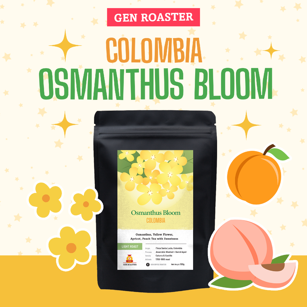 GEN Roaster เมล็ดกาแฟพิเศษ คั่วอ่อน Colombia Osmanthus Bloom Santa Lucia หอมดอกหมื่นลี้ ดอกไม้ 100 g.