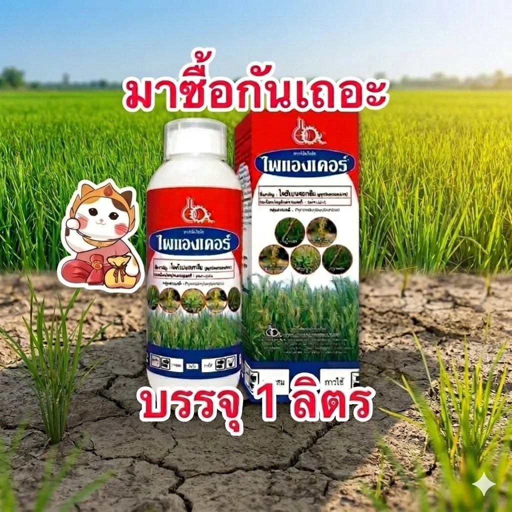 ไพแองเคอร์ 1ลิตร (ไพริเบนซอกซิม) กำจัดวัชพืชในนา (ทะเบียน10/73 ผลิต07/69) บรรจุ1ลิตร/ขวด
