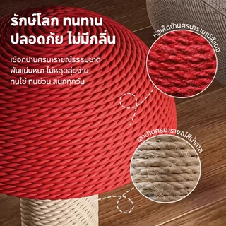เสาข่วนแมวรูปเห็ด ทนต่อการสึกหรอและป้องกันเศษหลุดร่วง แผ่นข่วนแมวแบบ 2 ใน 1 สำหรับลับเล็บและพัก