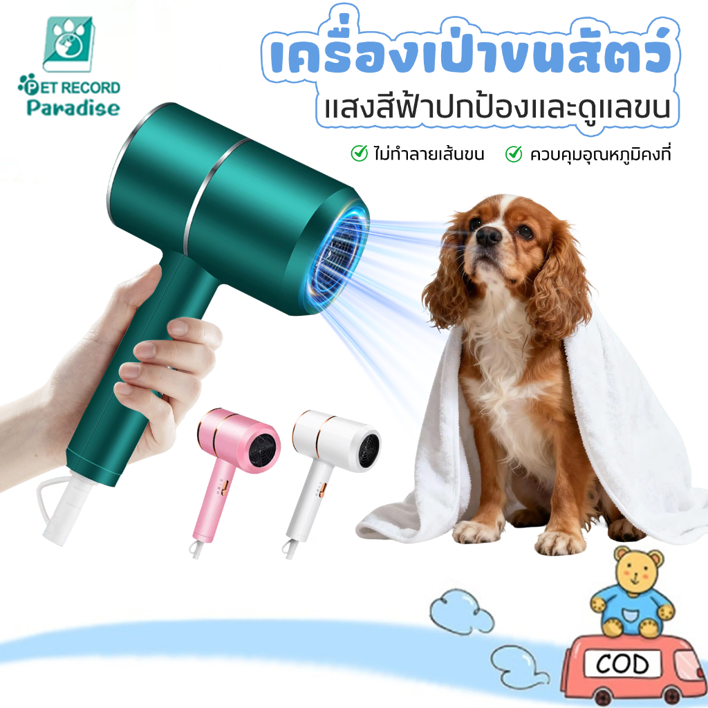 🔥ต่ำเสียงสัตว์เลี้ยงตัวเป่าลูกสุนัขตัวเป่าแมวเสียงต่ำเสียงต่ำผมฟาสต์เพ็ทเลี้ยงสัตว์เลี้ยงให้แห้ง