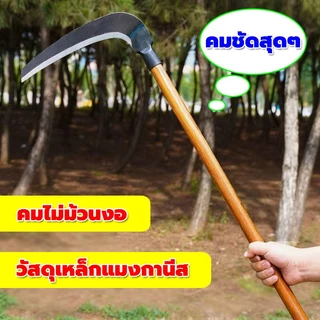 💥COD💥 เคียวเหล็กแมงกานีสแบบยาว เคียวเกี่ยวหญ้า เคียวถอนวัชพืช เคียวตัดแต่งกิ่ง ขนาด: 60/80/100/120 ซม. เหมาะสำหรับการถาง
