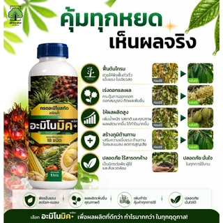 อะมิโนมิคพลัสตราเทพมงคล ขวด 1L แพ็ค 2 ขวด อาหารเสริมพืชทางใบชนิดน้ำ เร่งบำรุงพืชทุกชนิด สูตรออแกนิก