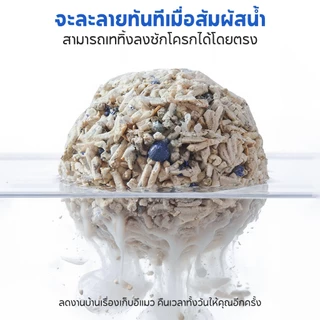 ทรายแมวแบบผสม ทรายแมวผสมเต้าหู้ออร์แกนิก 100% จับตัวเป็นก้อนเร็ว ดับกลิ่น ขนาด 6 ลิตร สามารถทิ้งลงชักโครกได้