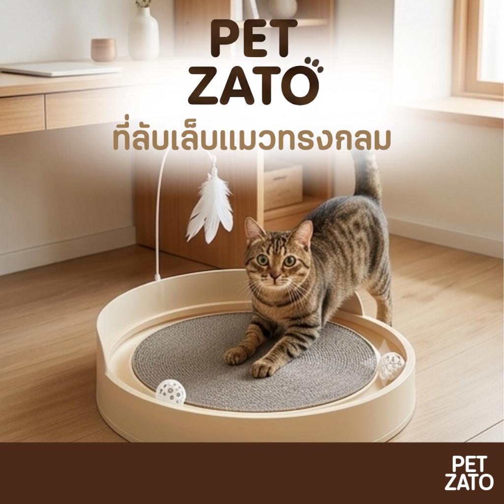 𝗣𝗘𝗧𝗭𝗔𝗧𝗢 ที่นอนและที่ฝนเล็บแมว แบบ 3-in-1 พร้อมของเล่นรางลูกบอลและก้านขนนก