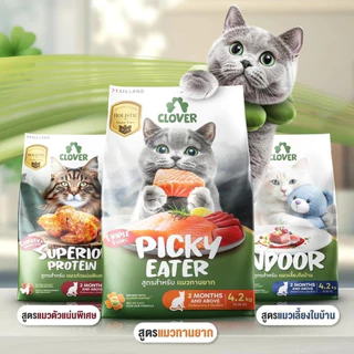 อาหารแมว Clover holistic grain-free ขนาด 1 kg สูตรเฉพาะสำหรับแมว ตัวแน่น ถนอมไต โซเดี่ยมต่ำ