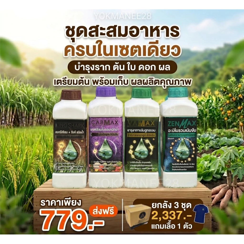 (C1+V1+Z1+K1) ปุ๋ยน้ำชุดสะสมอาหาร 4 สูตร แคลเซียมโบรอน+ธาตุรวม+อะมิโนรวม+แมกนีเซียมซิงค์