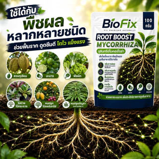 BioFix Root Boost จุลินทรีย์ไมคอร์ไรซ่า (Mycorrhiza) สูตรเข้มข้น เร่งราก ฟื้นต้น ดูดซึมดี ไมคอร์ไรซ่า 100 g.