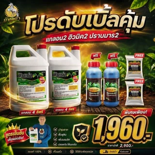 [New โปรดับเบิ้ล!!ดินเน่า2แกลอนฮิวมิค2ขวดปราบมาร2ซอง] เซตแกลอน ”ดินเน่า“ Big Size บรรจุ 4 ลิตร โปรดีของแถมดับเบิ้ลคูณสอง