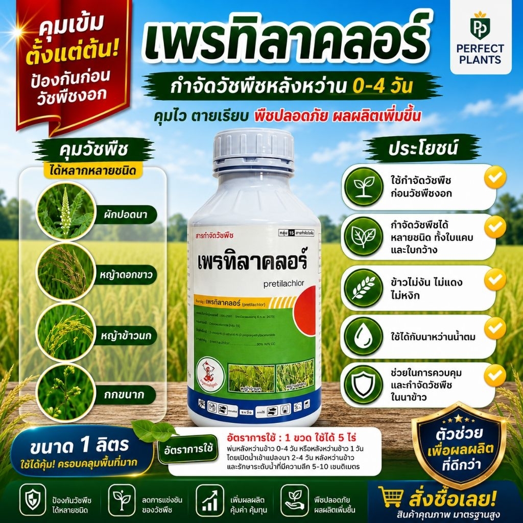 เพรทิราคลอร์ ยาคุมเลน สารกำจัดวัชพืชหลังหว่าน 0-4วัน กำจัดได้ทั้งใบแคบใบกว้าง
