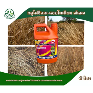 กลูโฟซิเนต-แอมโมเนียมเข้แดง 4 ลิตร ลัง 6 แกลลอน กำจัดวัชพืชไม่เลือกทำลาย ทั้งใบแคบและใบกว้าง[20028]