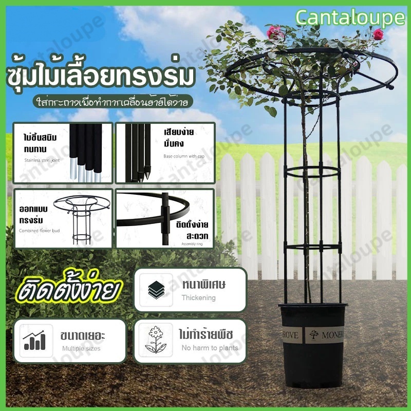 [ชั้นวางดอกไม้ทรงร่ม] กันสนิม+กันแดด! ประหยัดพื้นที่ สวยงามสำหรับสวน/คาเฟ่ ประกอบง่ายใน 5【ส่งฟรี】