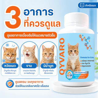 สร้างภูมิคุ้มกัน Qyvaro ดูแลระบบหายใจ แมวหวัด ไอ จาม น้ำมูกไหล เจ็บคอ ตาเจ็บ ซึม แมวแข็งแรง