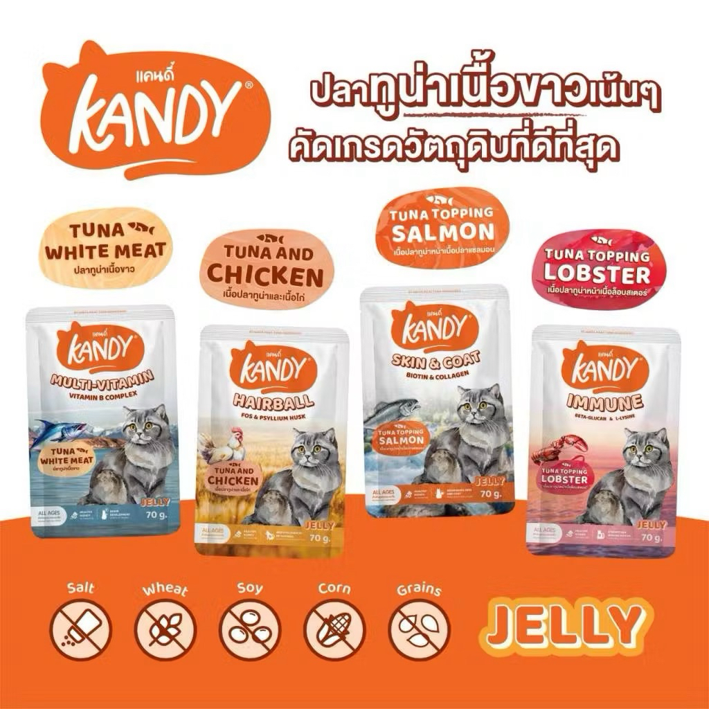 ยกโหล (*12) Kandy อาหารเปียกแมว Holistic Grain Free ทูน่าเนื้อขาว ไม่เติมเกลือ (ขนาด 70g*12ซอง)