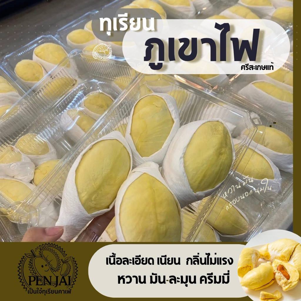 กทม.ส่งด่วน💢ทุเรียนหมอนทองภูเขาไฟ ศรีสะเกษ แกะเนื้อล้วน โปร 3 กิโลเนื้อล้วน ราคาพิเศษ💢