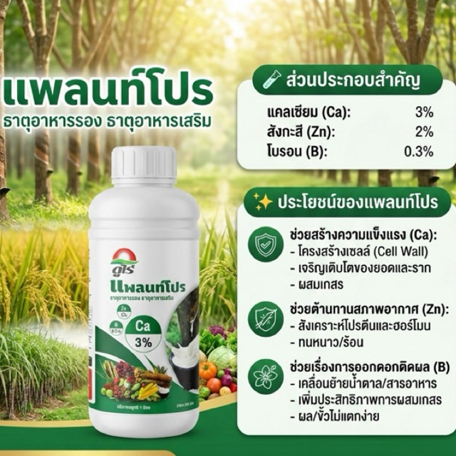 แพลนท์โปร ปุ๋ยเคมีชนิดน้ำ แข็งแรงครบ จบที่ธาตุรอง เสริมผลผลิตทุกพืช