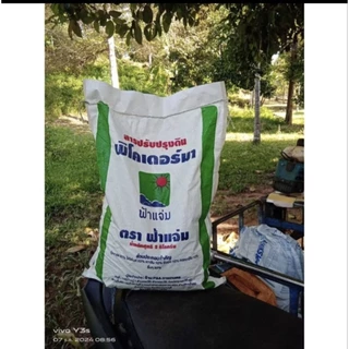 พีโคเดอร์มา ไตรโคเดอร์มา