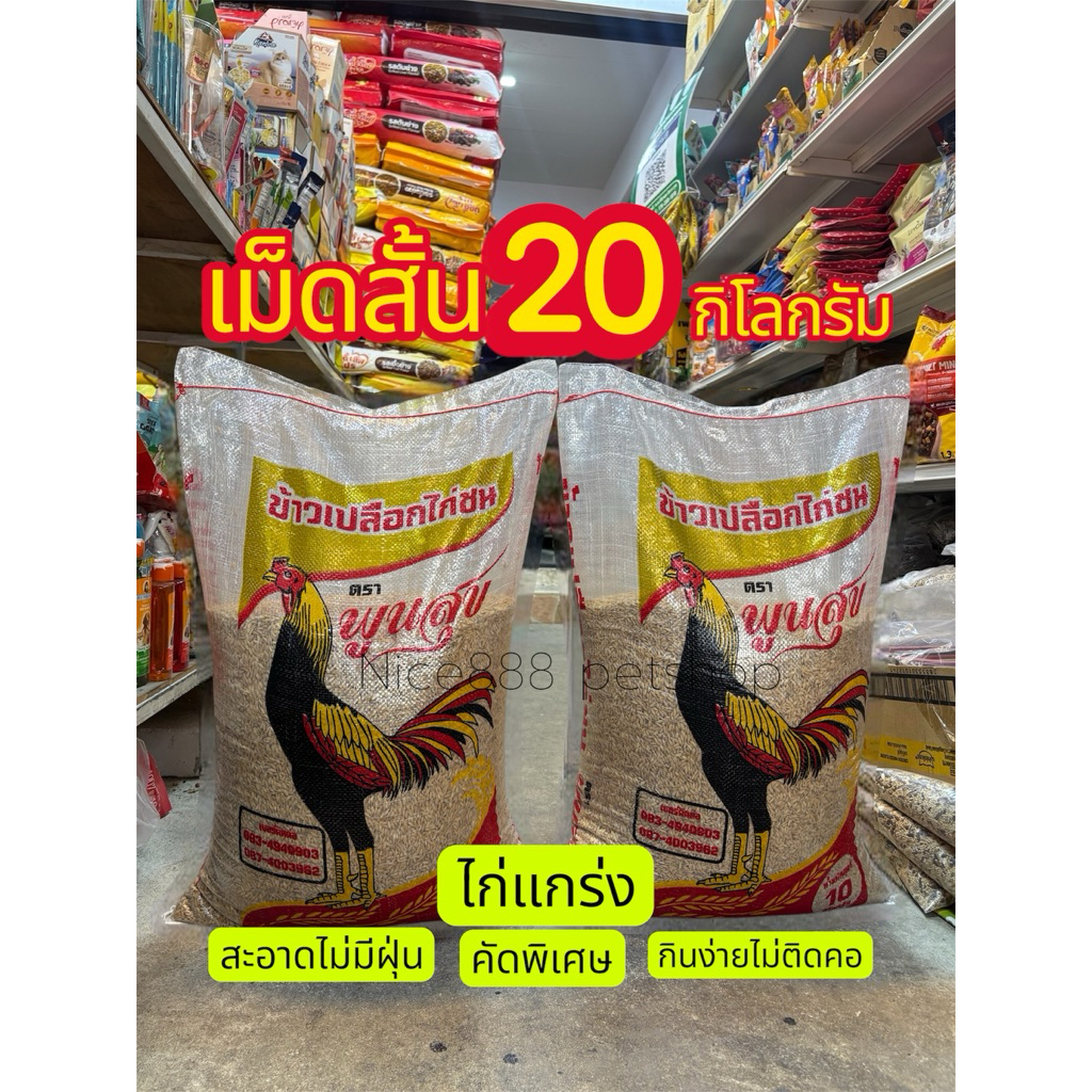 ข้าวเปลือกไก่ เม็ดสั้น 20 กิโลกรัม สะอาด คุณภาพดี คัดพิเศษ