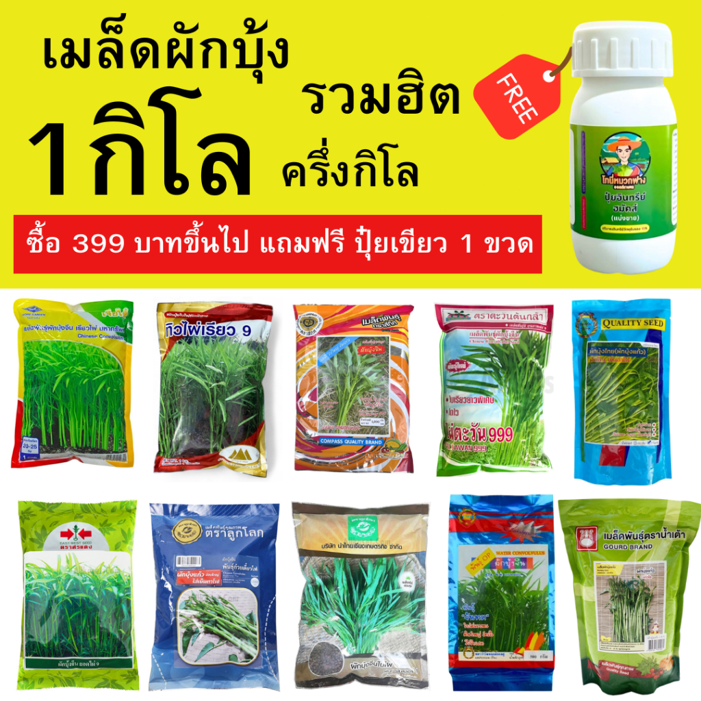 รวมเมล็ดผักบุ้ง 1 กิโล หลากหลายยี่ห้อ ซื้อ 399 ขึ้นไปแถมฟรี ปุ๋ยเขียว 50cc 1 ขวด