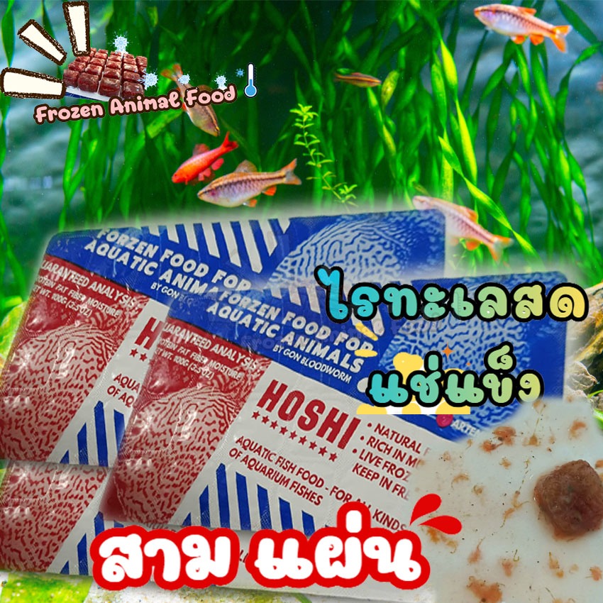 ส่งเร็ว ราคาพิเศษ  3 แพ็ค ไรแดงทะเลแช่แข็ง HOSHI แถมฟรี ถุงเก็บความเย็น เจลเย็น อาหารปลา อาหารสัตว์น้ำทุกชนิด