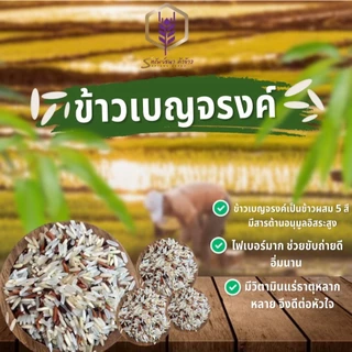 ข้าวเบญจรงค์5สี แพคสุญญากาศ6กิโลกรัม ตราทรัพย์ธนา